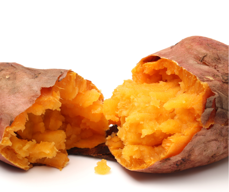 Seven foods to help manage SIBO in your dog