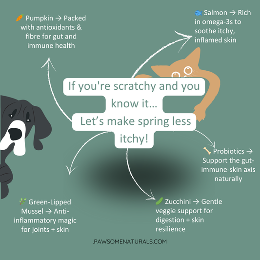 Ways to reduce the itch of allergies for your pets this spring
