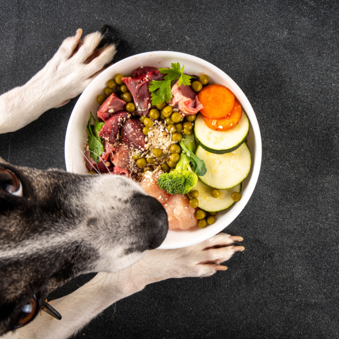 Nutrient Deficiencies in Dogs: What They Mean and What You Can Do