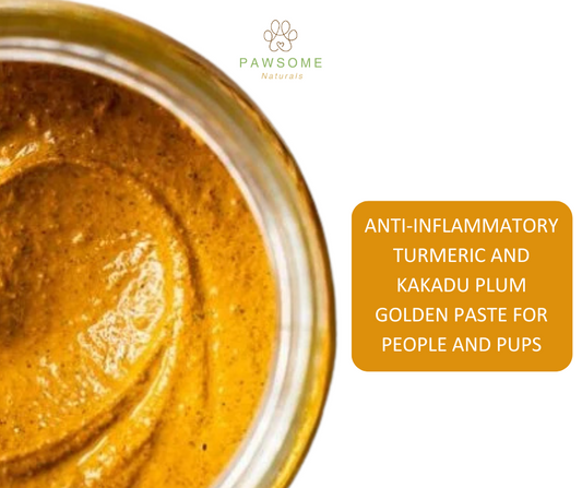 Bush to Bowl Recipe: Anti-Inflammatory Turmeric and Kakadu Plum Golden Paste for People and Pups