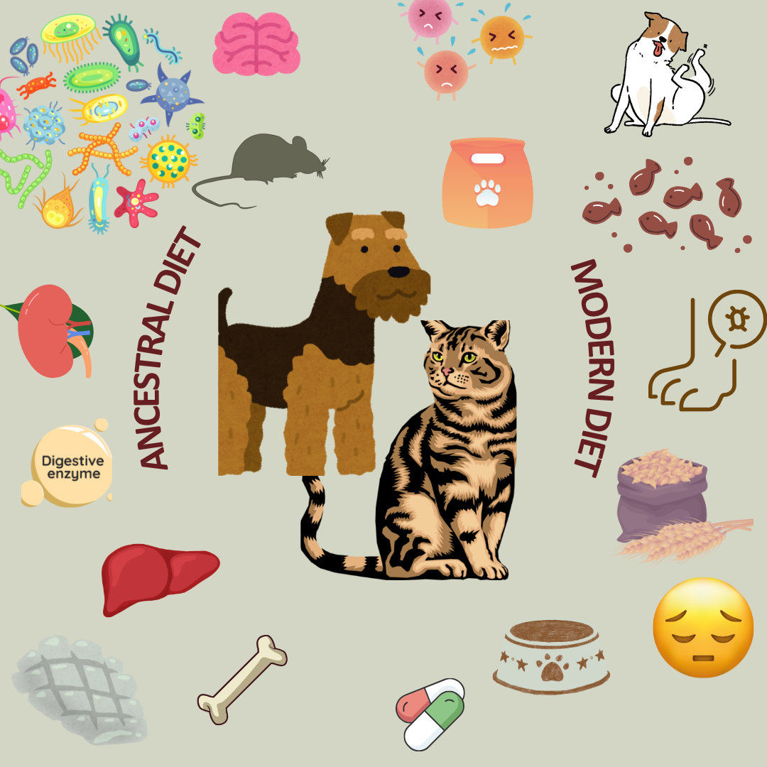 Ancestral vs Modern Dog and Cat Diet