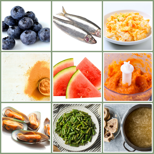 Want to boost your dog's health with a food-first approach? Our guide explores the best natural toppers for puppies, adults, and seniors