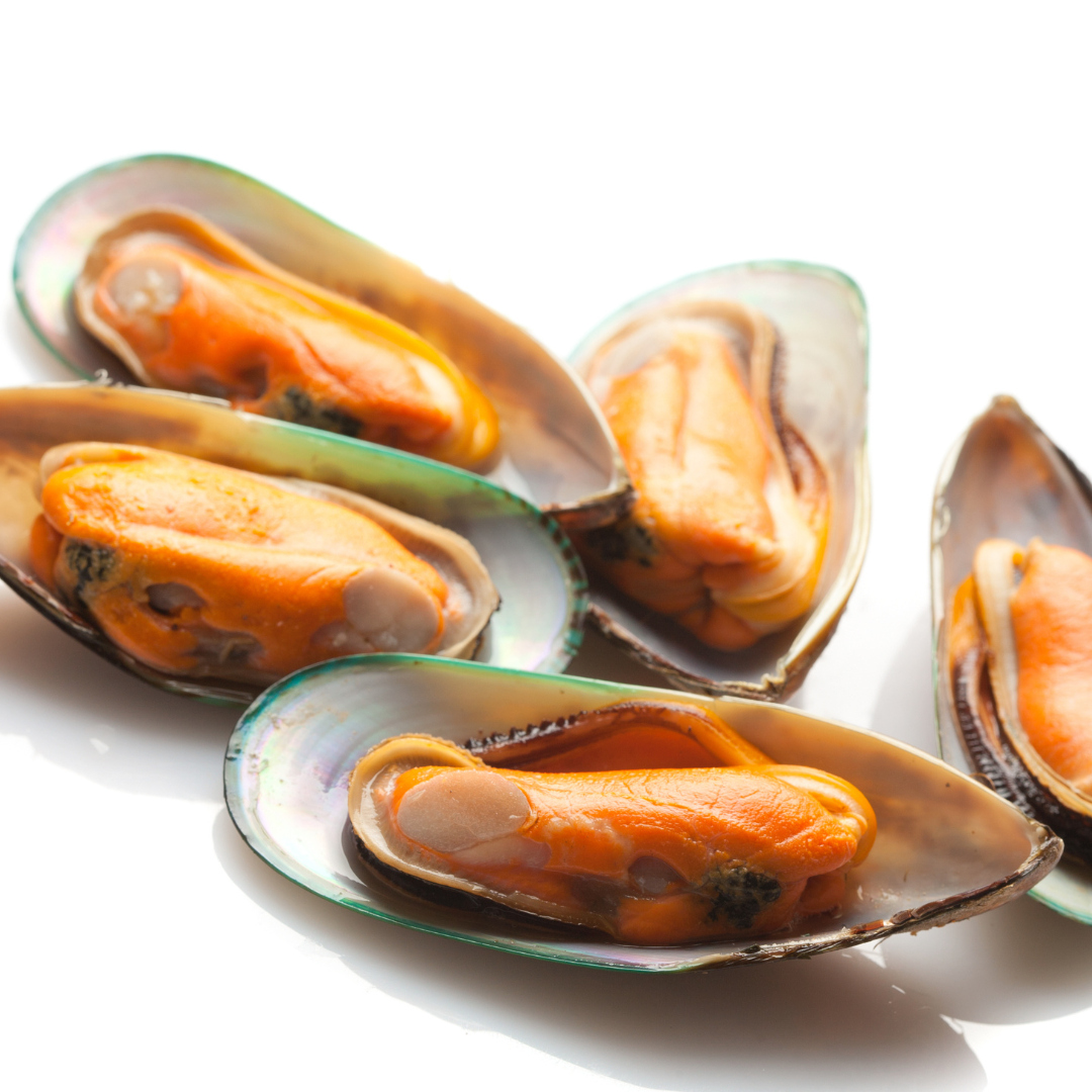 From ocean waves to wiggly tails - meet the mollusc that’s making pets move with ease again.