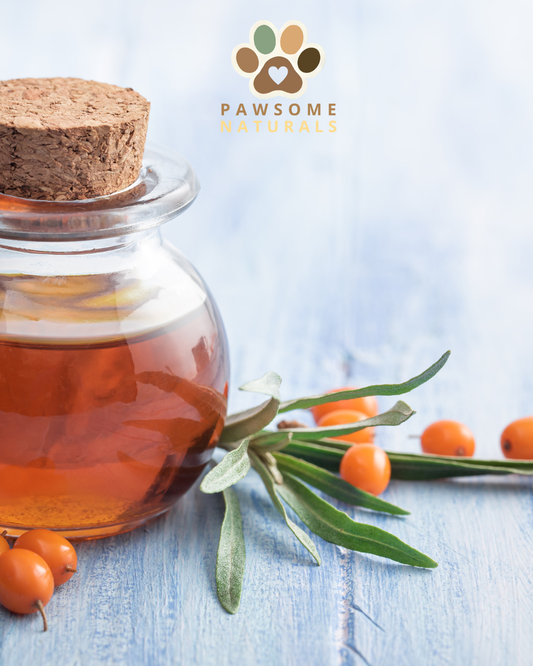 The Forgotten Fatty Acid: Omega-7 for Dogs and Mogs