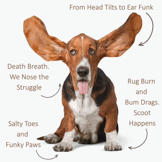 Bum scoots. Grass snacks. Sudden stink bombs.