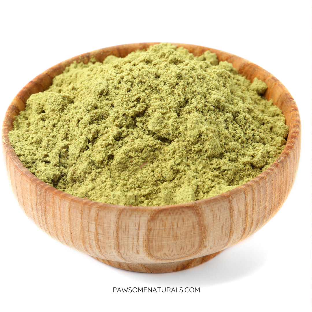 Ground pumpkin seeds – a safe and nutritious treat for dogs when served plain and unsalted
