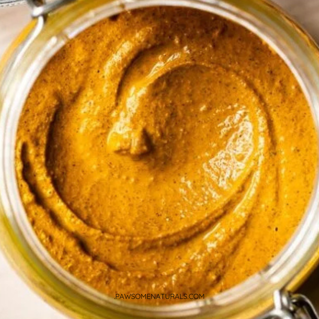 Bush to Bowl Recipe: Anti-Inflammatory Turmeric and Kakadu Plum Golden Paste for People and Pups