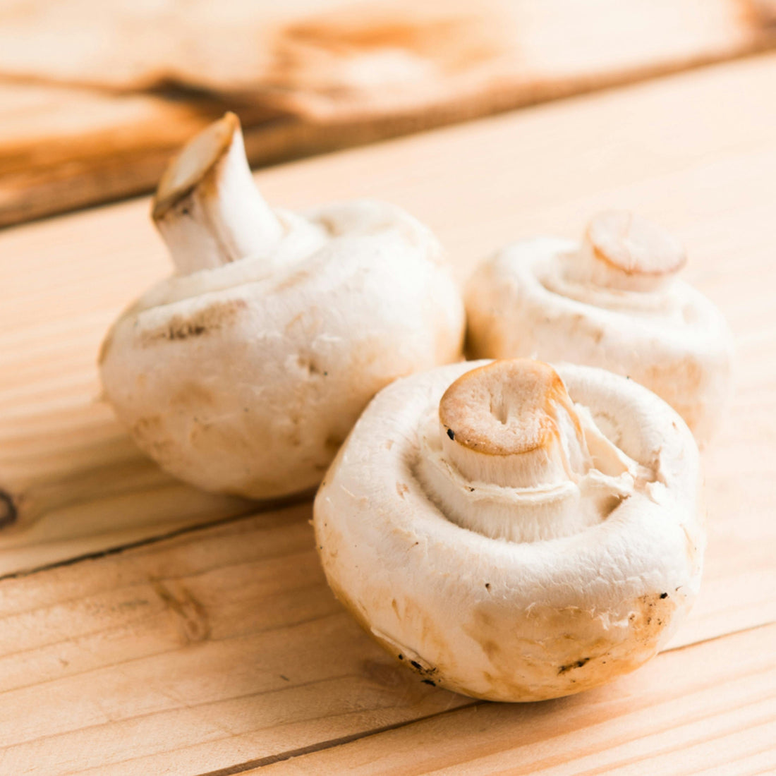 Mushrooms and Vitamin D: A Sunshine Boost for Your Dog's Health