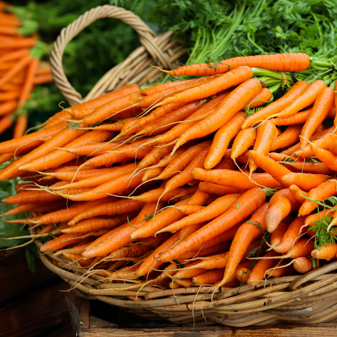 Think of this as your dog’s gut-healing grocery list-delicious and gentle.