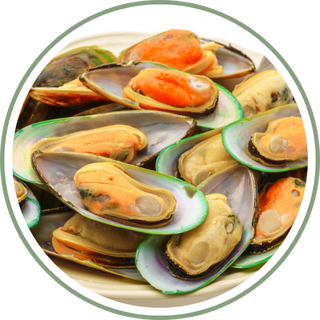 New Zealand Green-Lipped Mussel