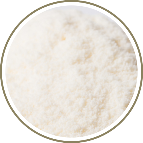 Lactobacillus plantarum, and Lactobacillus casei