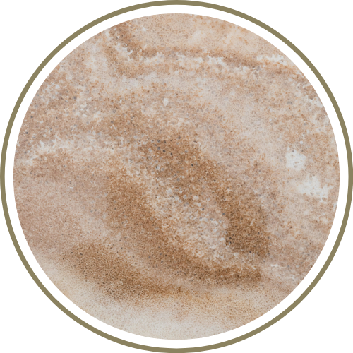 Saccharomyces boulardii